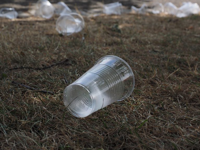 Vermeidung von Einwegbechern, -geschirr, und -besteck bei Veranstaltungen im öffentlichen Raum in Wesel