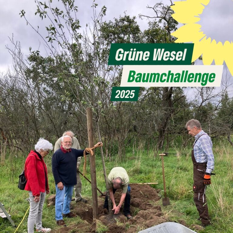 Baumchallenge angenommen – Baum gepflanzt